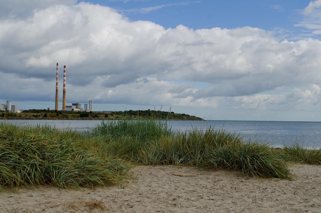 Beach House B&B Dublin Pokoj fotografie